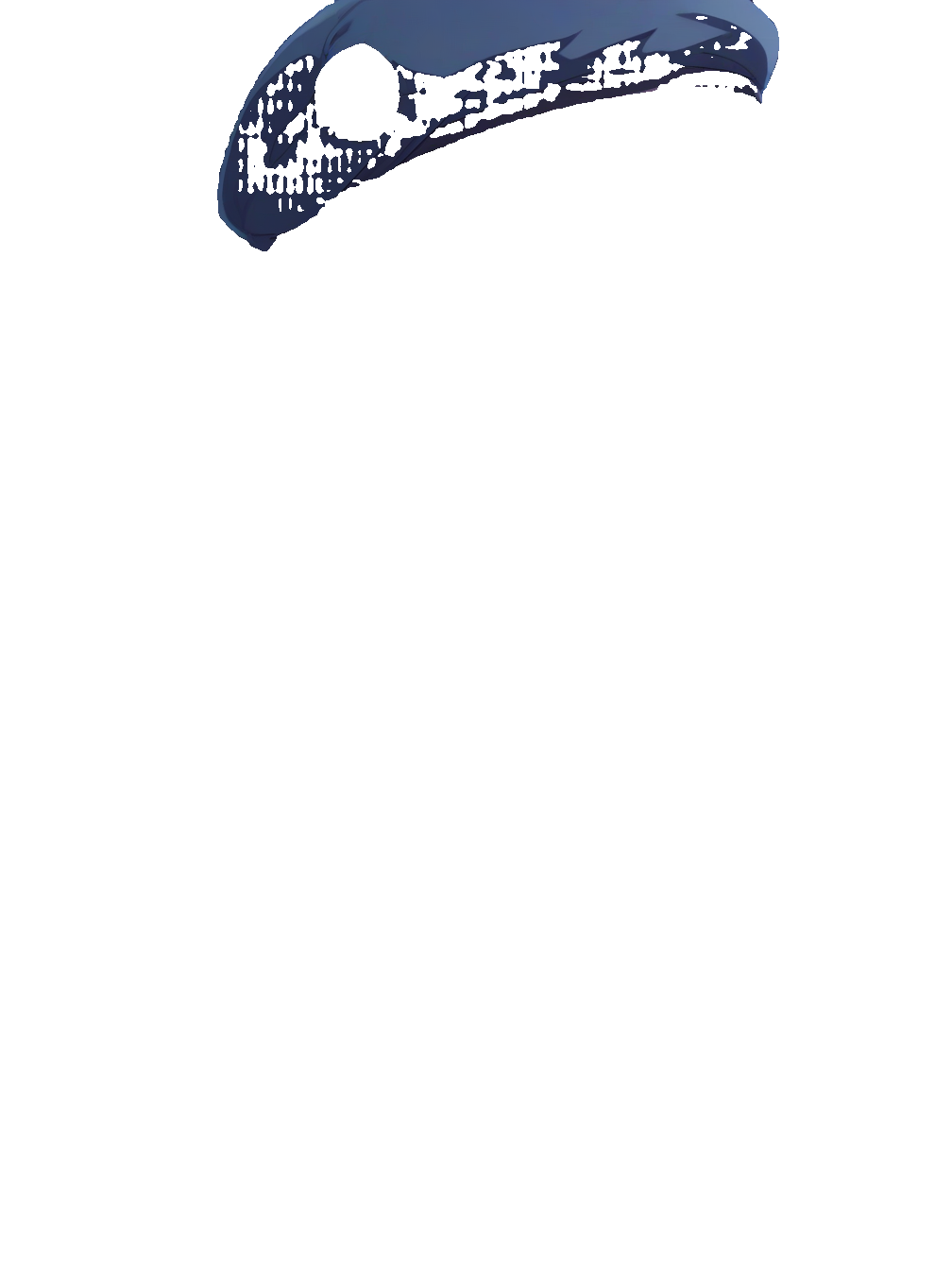 segment_anything_result_2_8