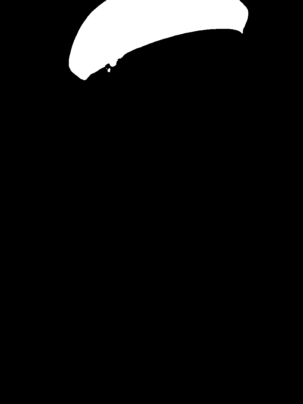 segment_anything_result_3_4